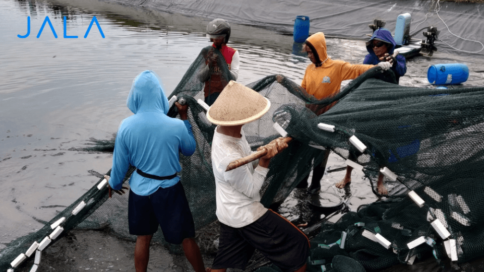 Important! What Human Resources Do Shrimp Farms Need?