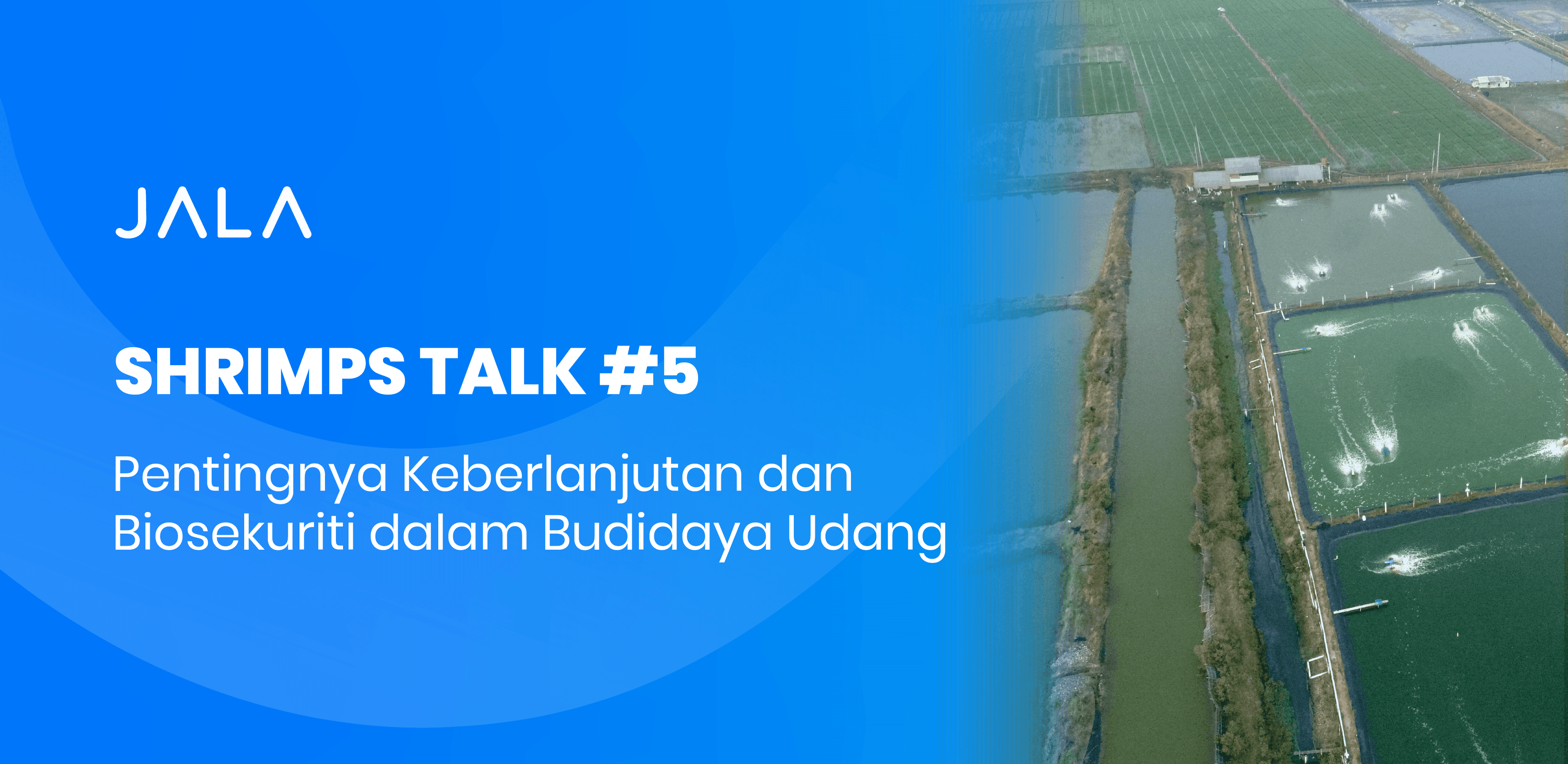 SHRIMPS TALK #5 Membahas Pentingnya Keberlanjutan dan Biosekuriti dalam Budidaya Udang