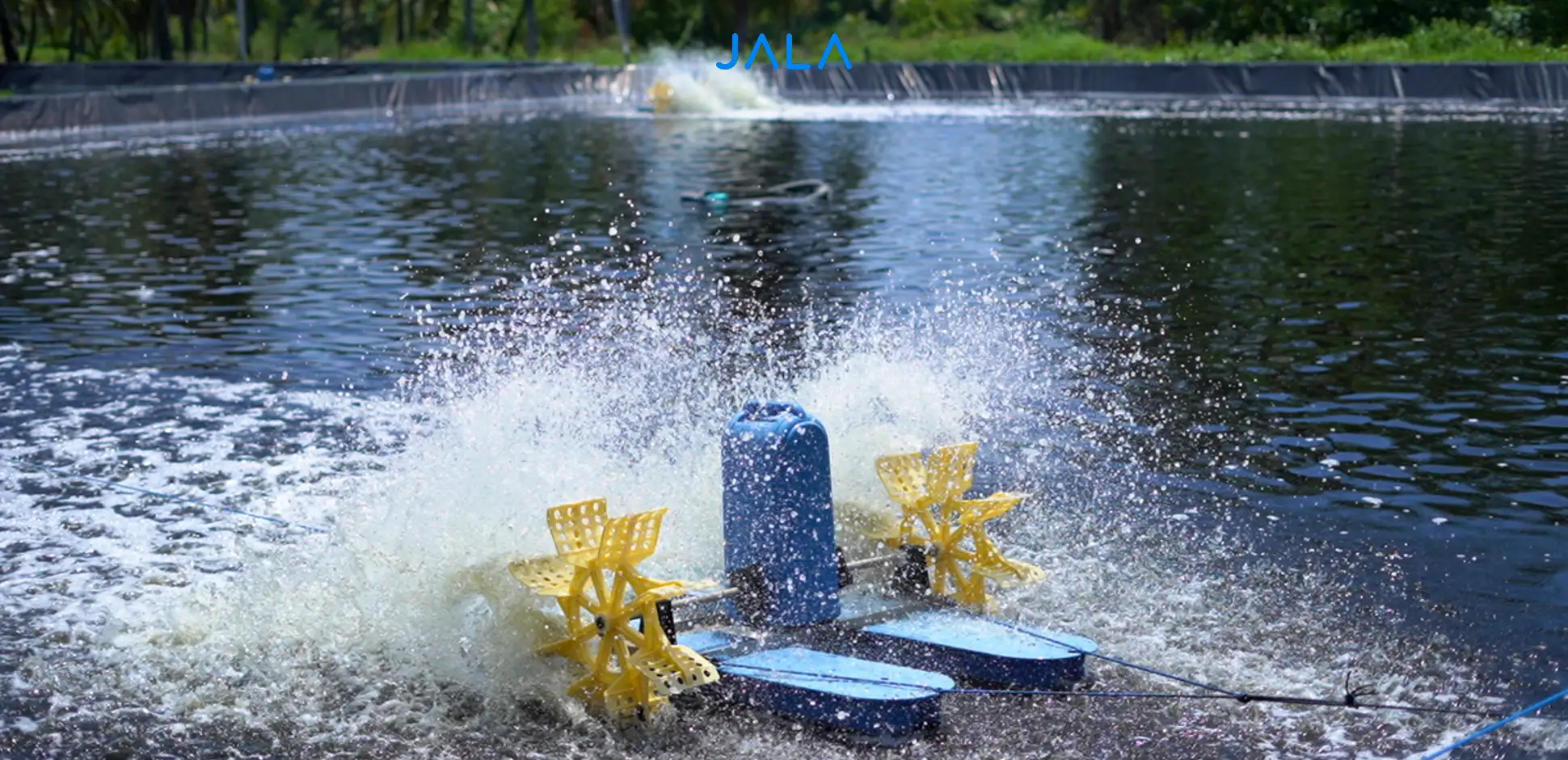 Cover - Banjir Rob.webp