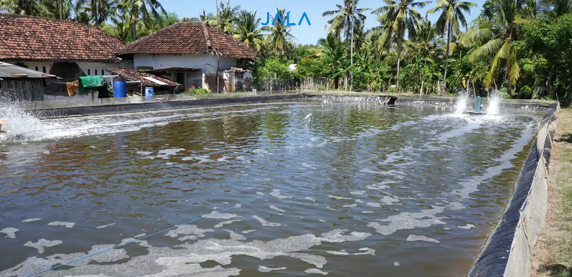 CBIB: Jaminan Budidaya Udang yang Bertanggung Jawab