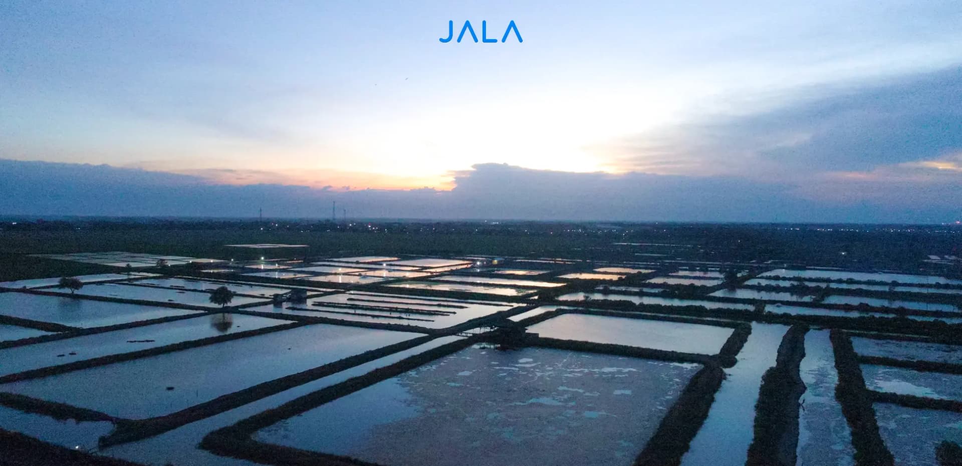 Relaksasi Perizinan, Subsidi, dan Tata Ruang: Petambak Wajib Tahu!