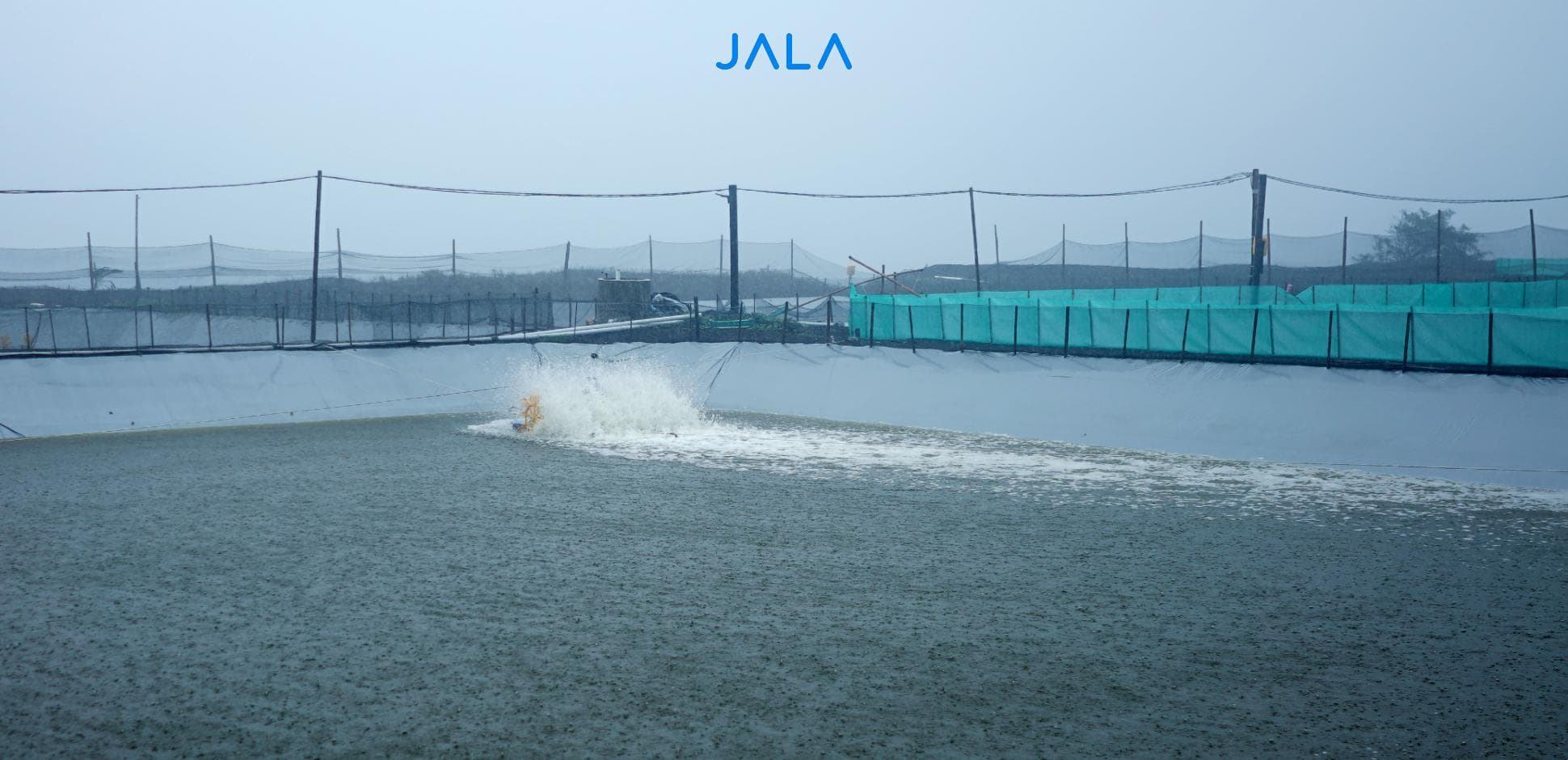 The Rainy Season Has Arrived, How Does Rainwater Benefit Shrimp Farms? 