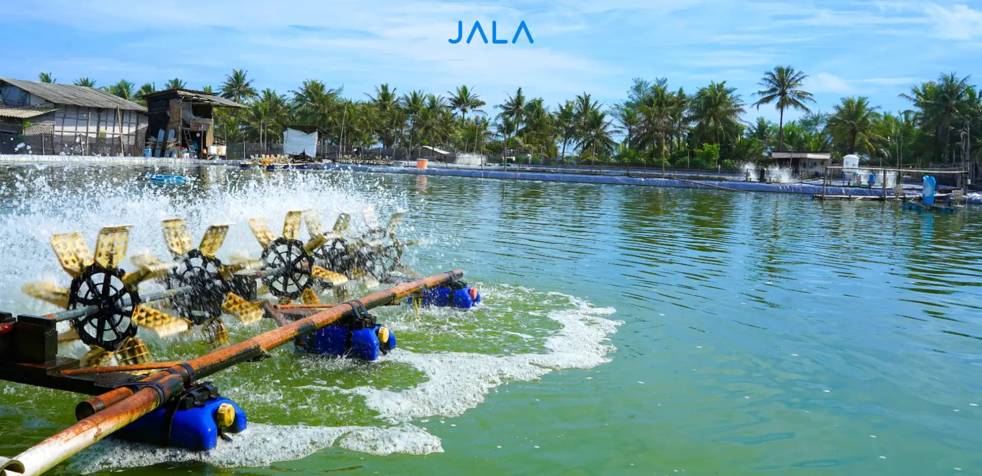 Cover - Kualitas Air Tambak Udang.webp