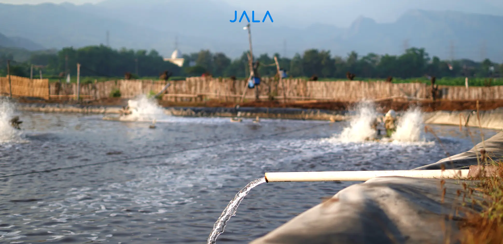 Cover - Manajemen Kualitas Air.webp