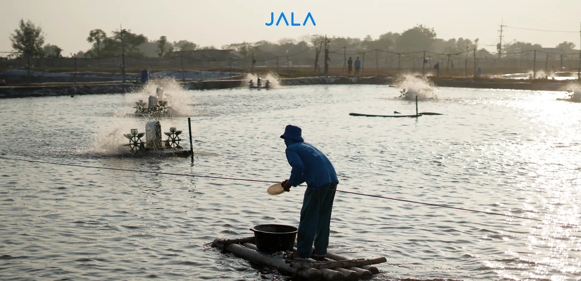 Cover - Manajemen Tambak Udang.webp