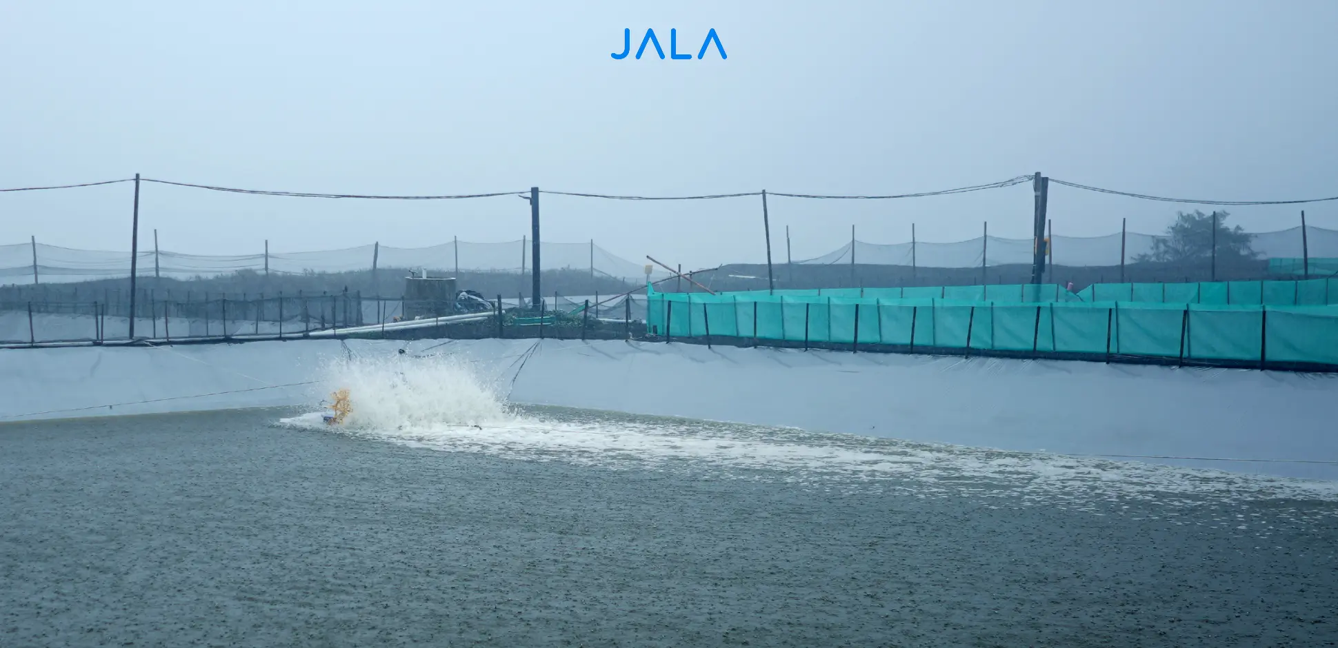 Cover - Pagar Waring Tambak.webp