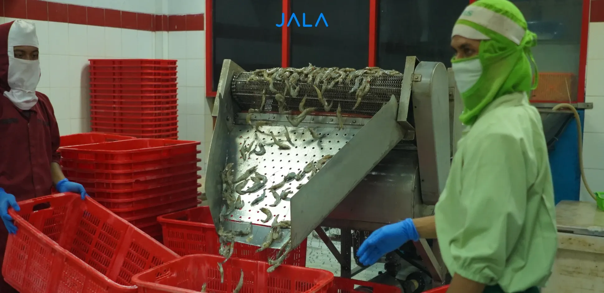 Cover - Potensi Pasar Udang Indonesia.webp