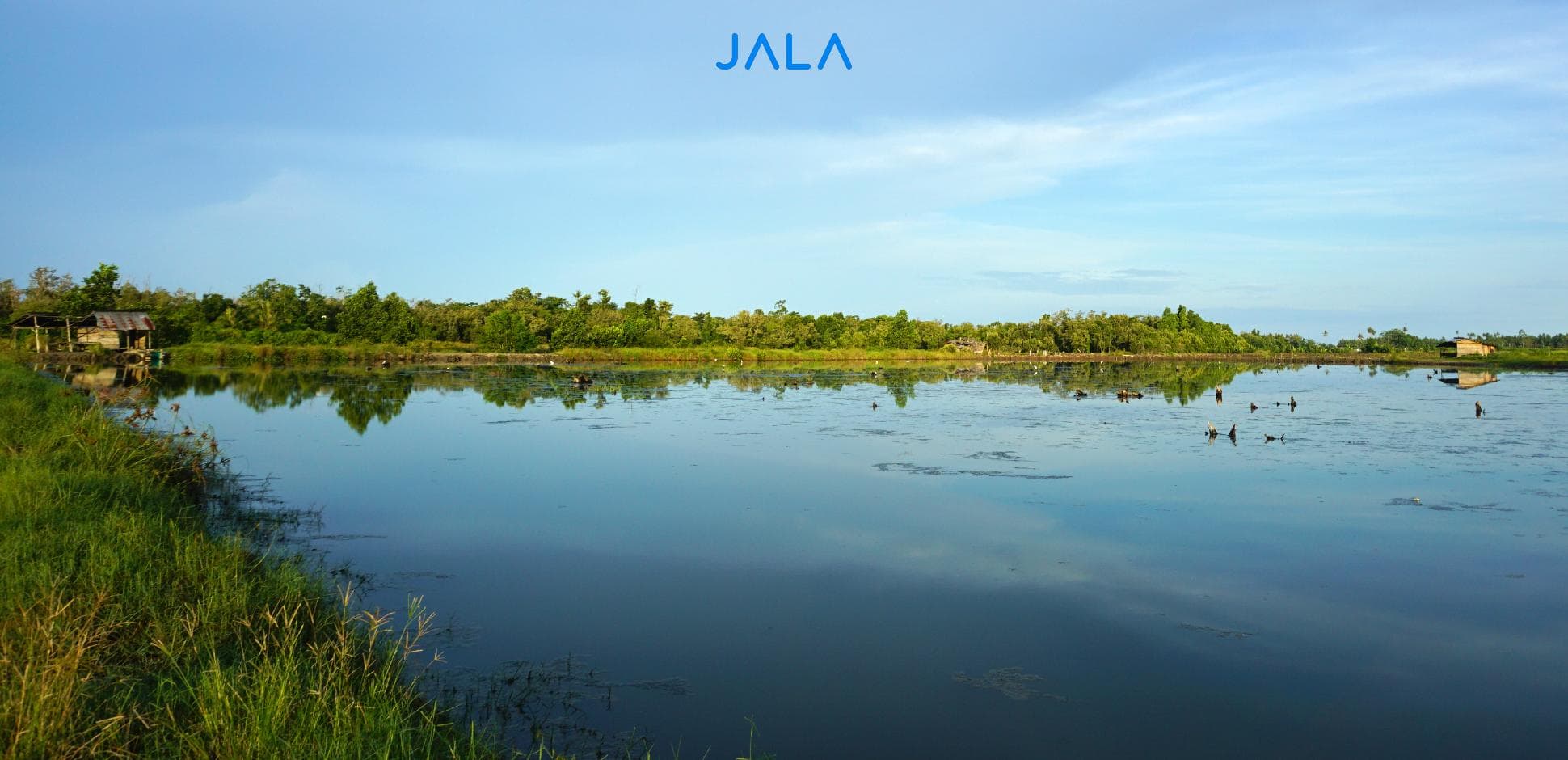 Cover - Traditional Plus Farm.jpg