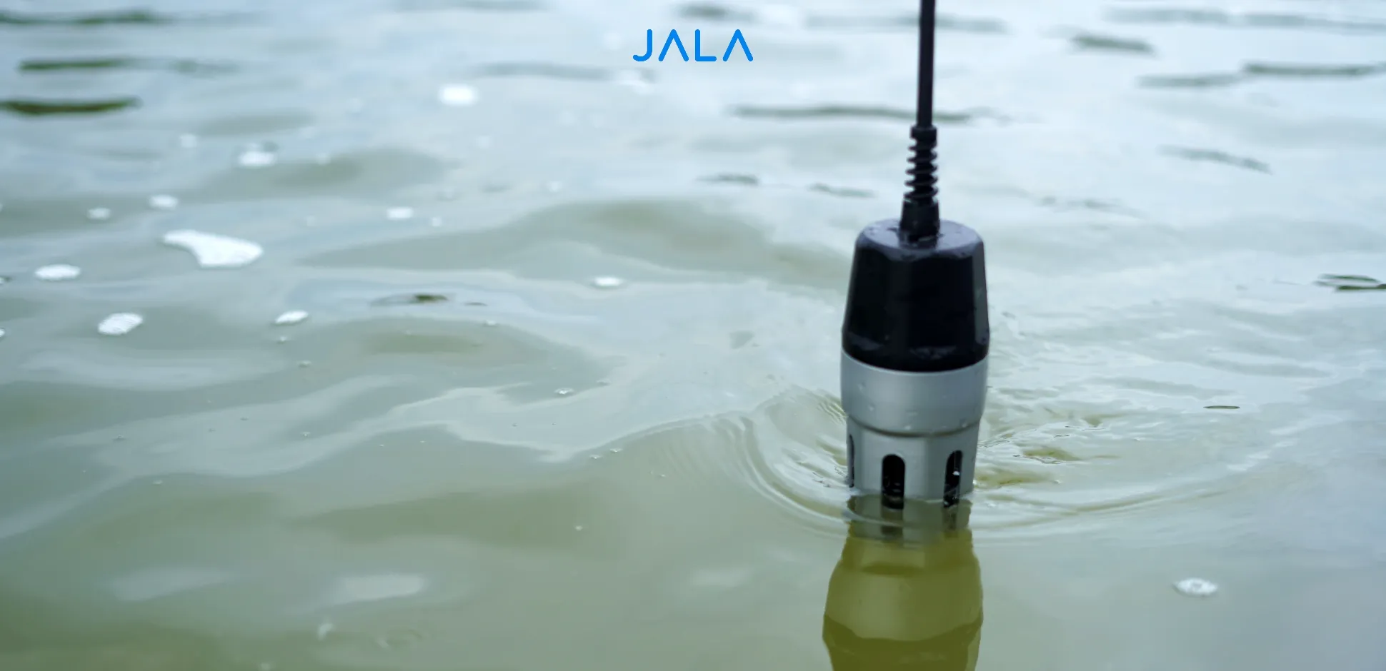 Cover - Water Quality Meter Baruni.webp