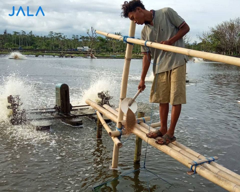 biofloc-system-in-shrimp-farming.jpg