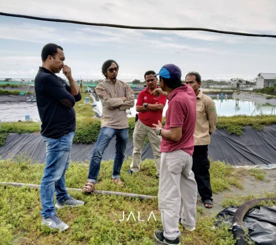 budidaya-udang-kalau-kapok-harusnya-dari-dulu.jpg