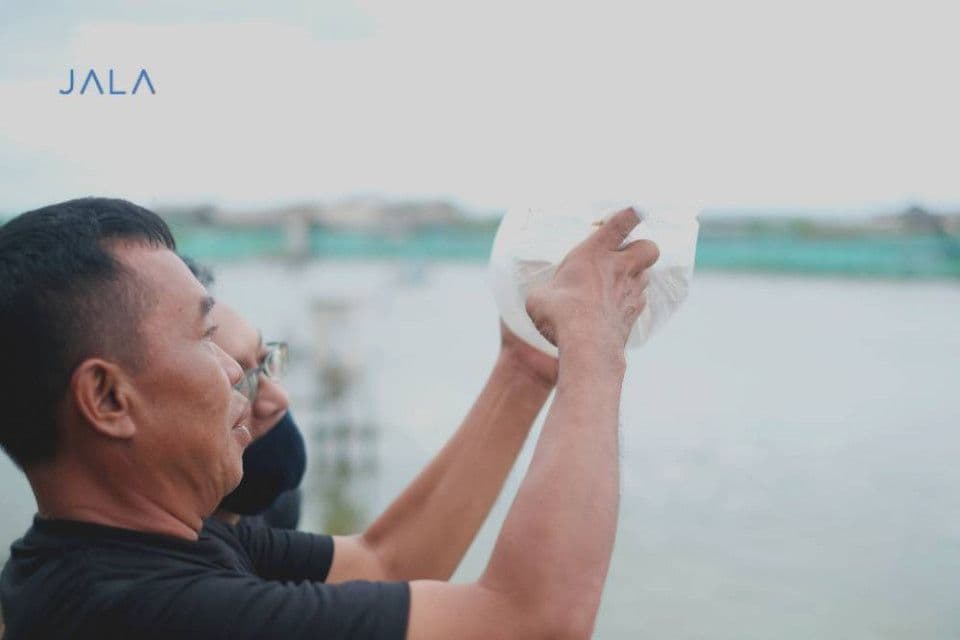 cermat-memilih-benur-di-tengah-wabah-ahpnd.jpg