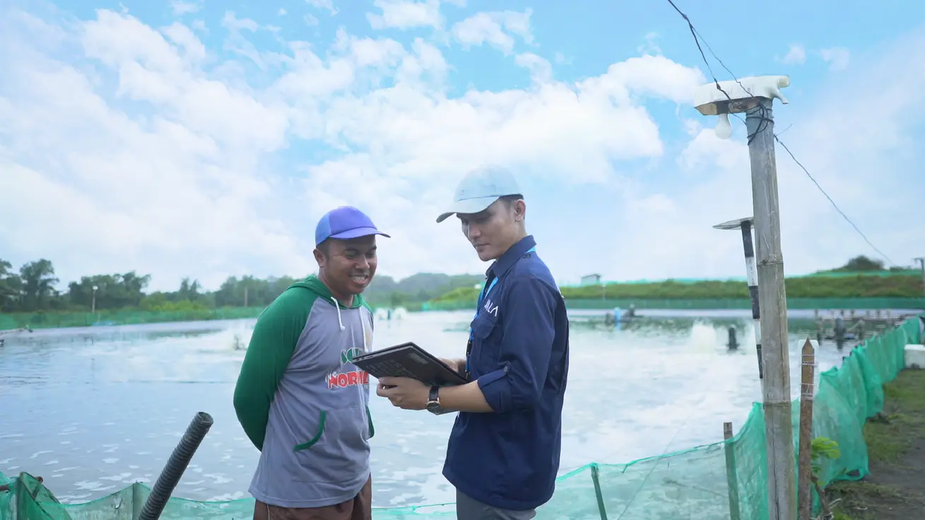 Riqo memonitoring tambak SmartFarm JALA