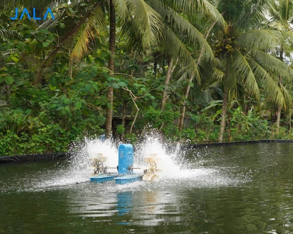 get-to-know-pond-water-quality-parameter-alkalinity.jpg