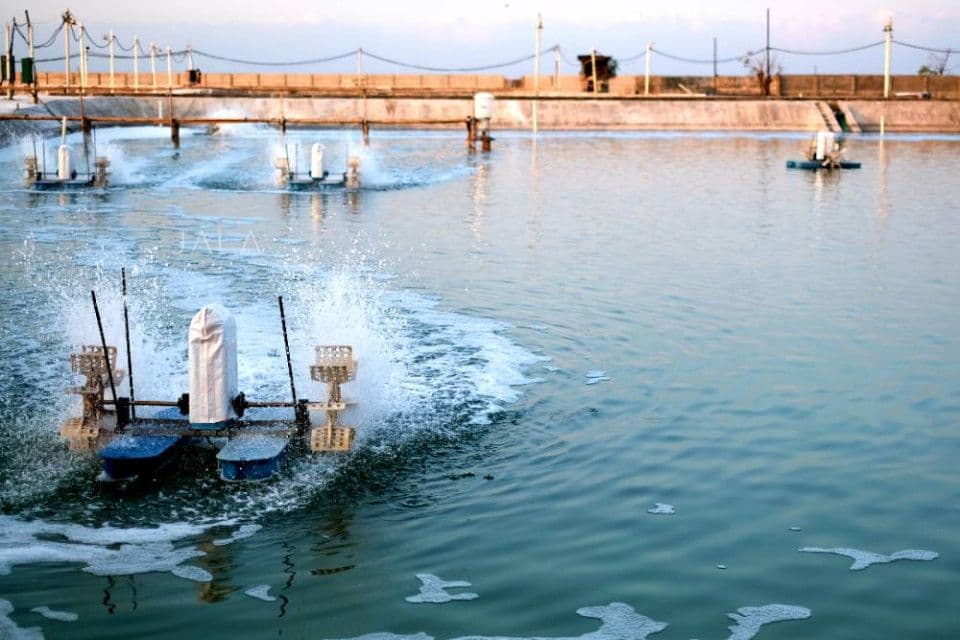 konstruksi-beton-kolam-tambak-udang.jpg