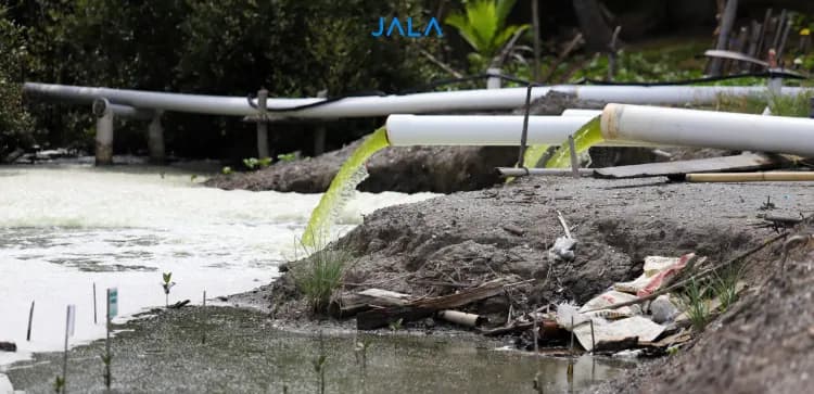 Kunci Keberhasilan Waktu Pergantian Air dalam Budi Daya Udang