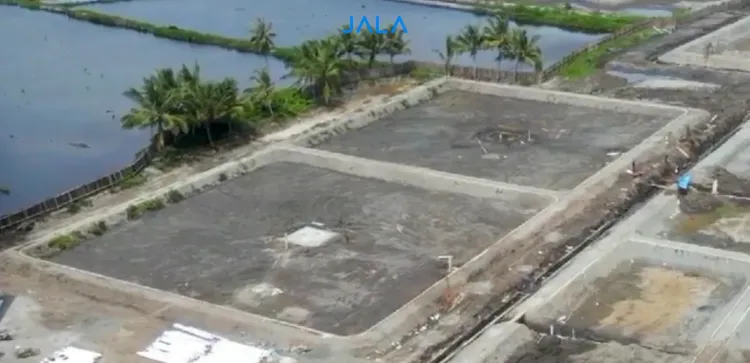 Pengertian Central Drain Tambak Udang dan Cara Pembuatannya