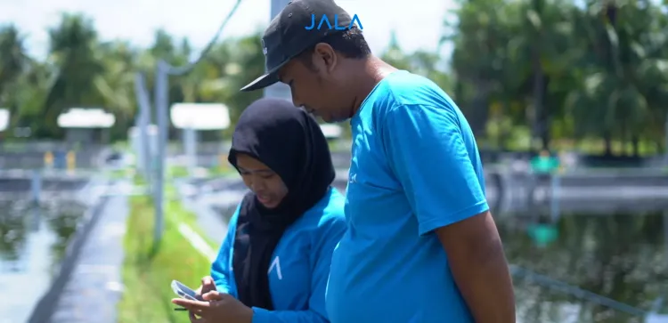Input Hasil Uji Lab Cepat dengan Fitur Scan Tes Lab JALA App