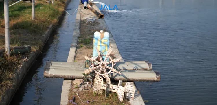 7 Easy Steps to Maintain Shrimp Pond Paddlewheels for Longer Lifespan