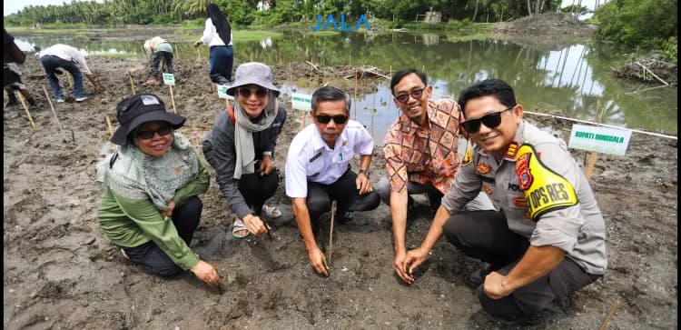 JALA dan Konservasi Indonesia Inisiasikan Climate Smart Shrimp Farming (CSSF) untuk Mendorong Budi Daya Udang Berkelanjutan di Indonesia