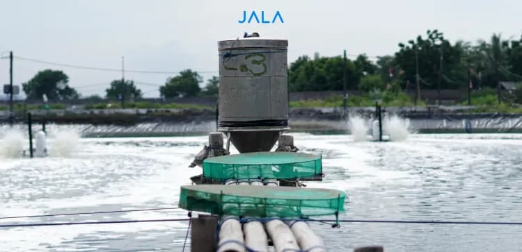 Daily Feed Evaluation and Feed Management with Feeding Trays