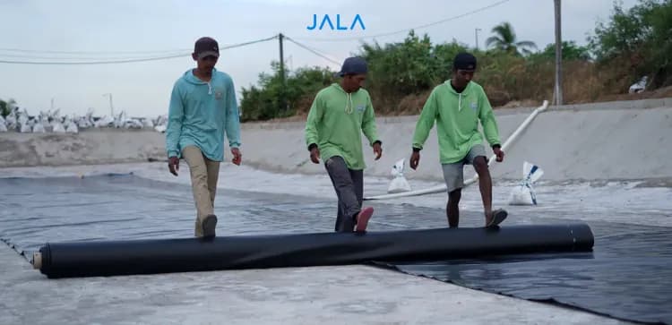 4 Jenis Plastik yang Digunakan dalam Budi Daya Udang