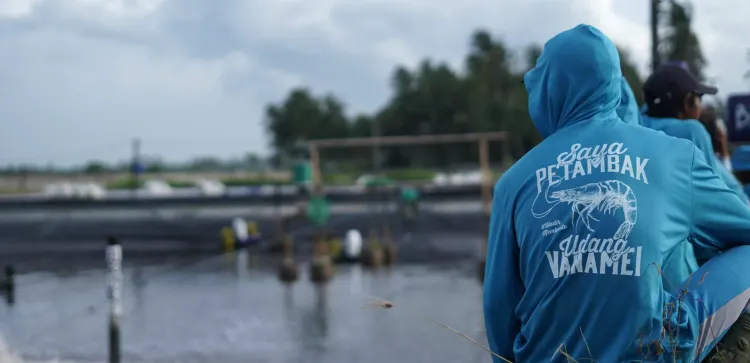 7 Parameter Air Tambak yang Menentukan Performa Udang