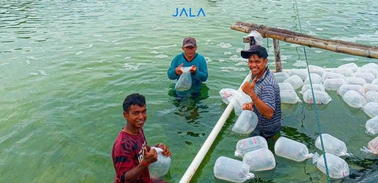Personil Penting di Tambak Udang