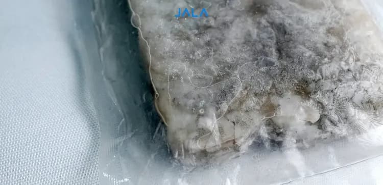 Mengenal Perbedaan Udang SBF (Block Frozen) dan IQF (Individual Frozen)