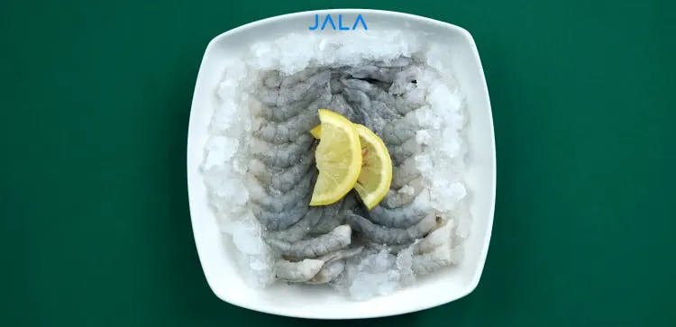 Tips Jualan Online yang Efektif untuk Reseller Seafood