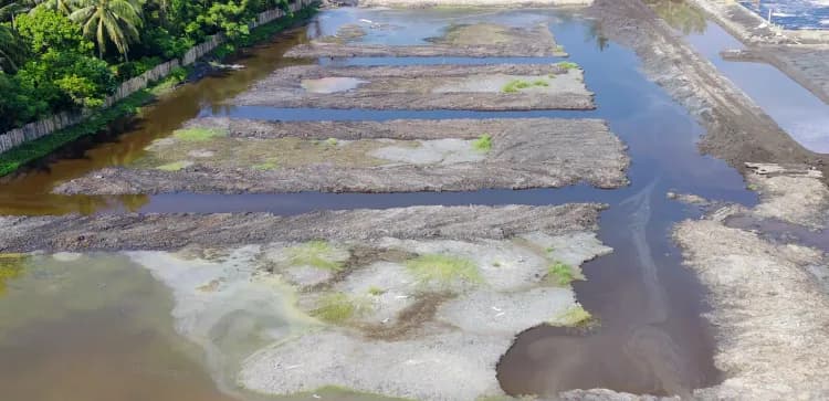 Cover - Tambak Tradisional.webp