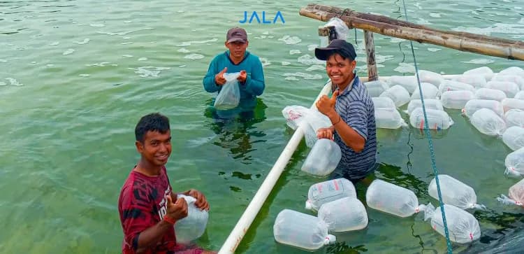 Benefits of Conducting the Bioassay Method before Shrimp Fry Stocking