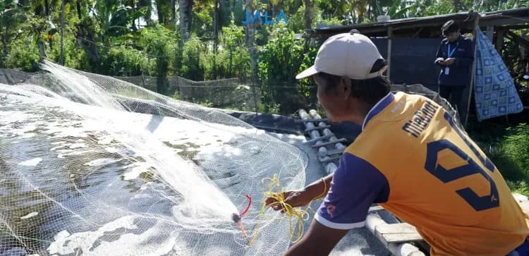 Hubungan Proses Sampling dengan Kram pada Udang Vaname