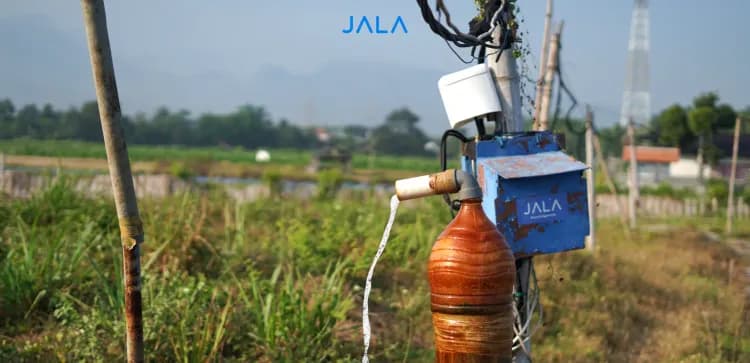 Effective Strategies to Control Plankton in Shrimp Farming