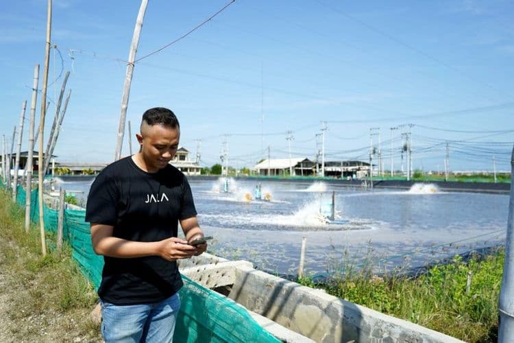 How to manage shrimp farm finance