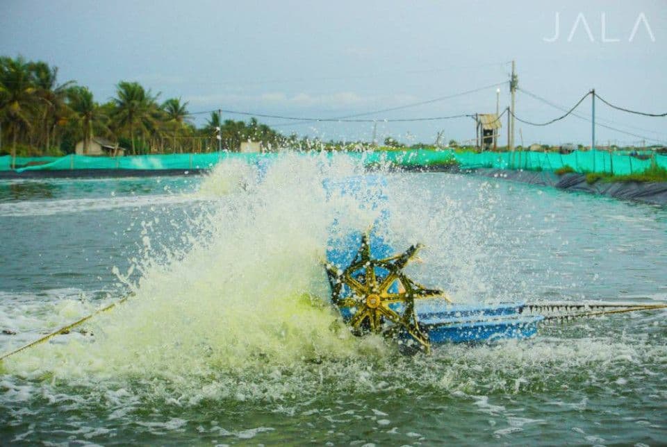 peran-kincir-menjaga-oksigen-terlarut-do.jpg