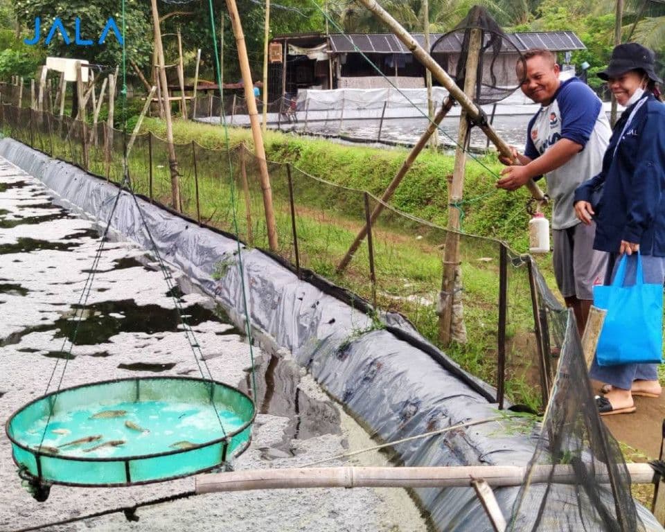 Pentingnya Unsur Mineral dalam Budidaya Udang