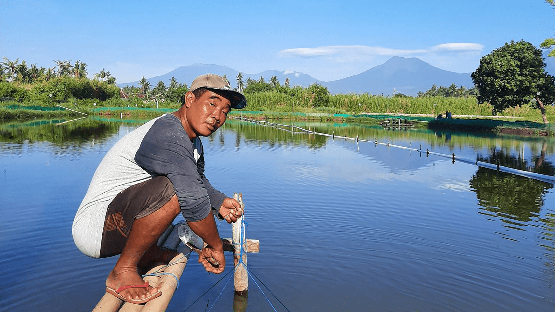 How Pak Asnan increases his shrimp productivity by up to 5 times