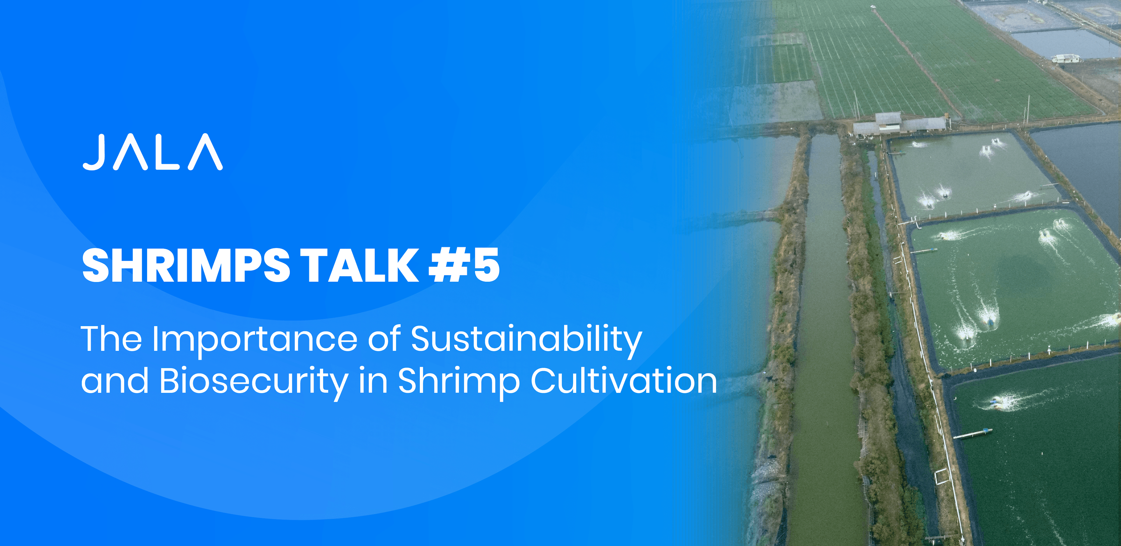 SHRIMPS TALK #5 Emphasized the Importance of Sustainability and Biosecurity in Shrimp Cultivation