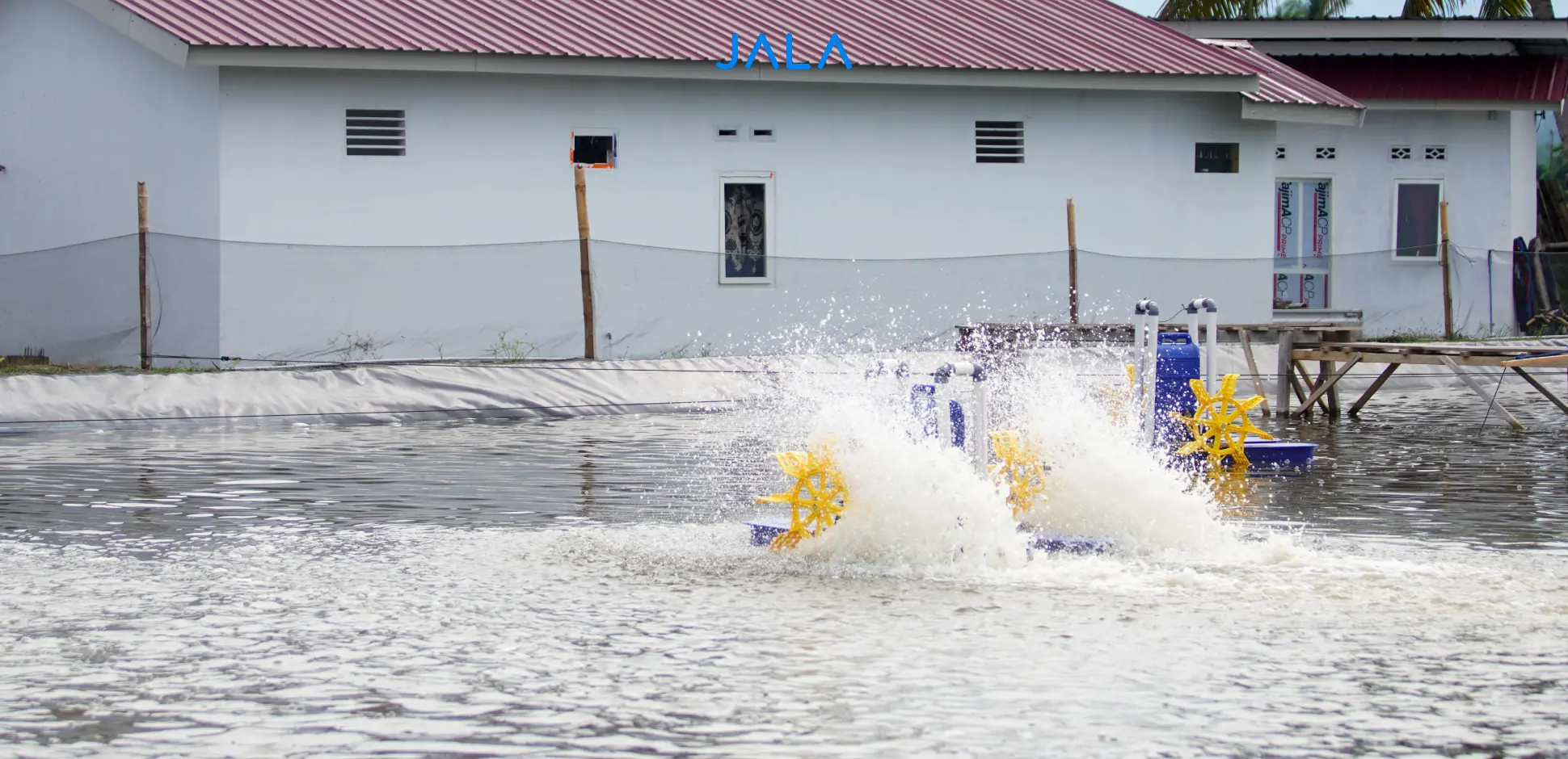 Cover - Budidaya Udang.webp