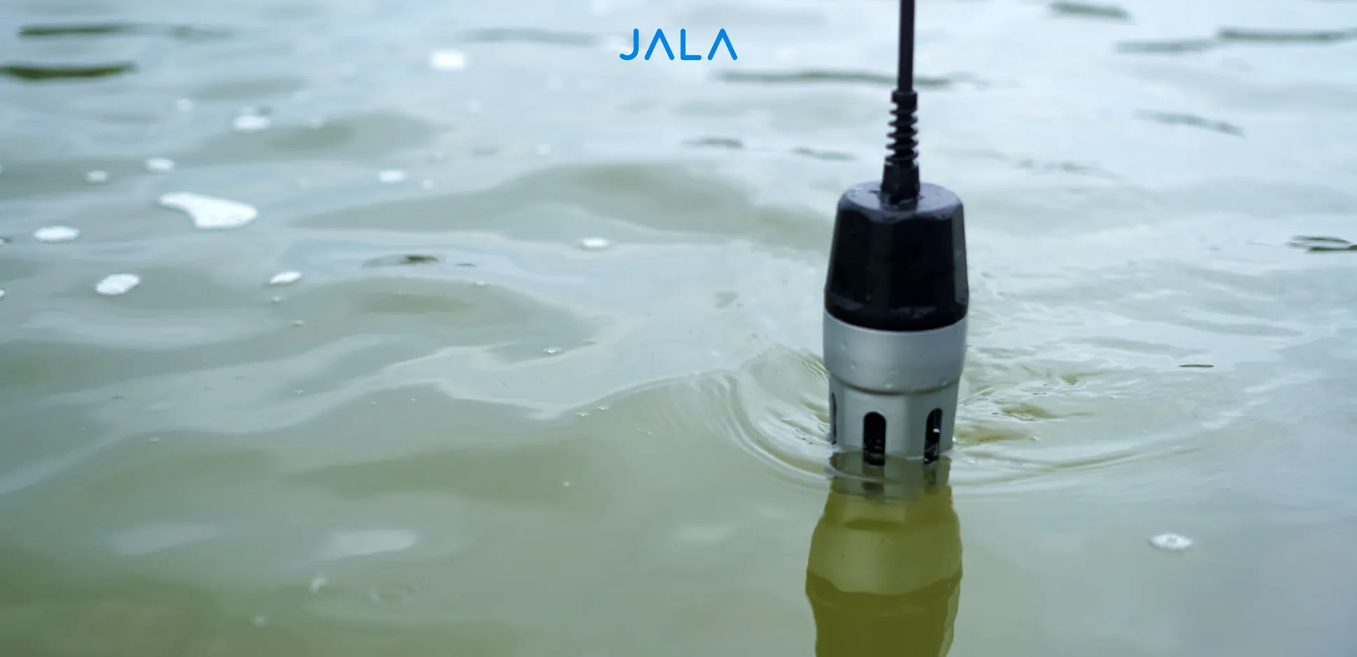 Cover - Parameter Kualitas Air.webp