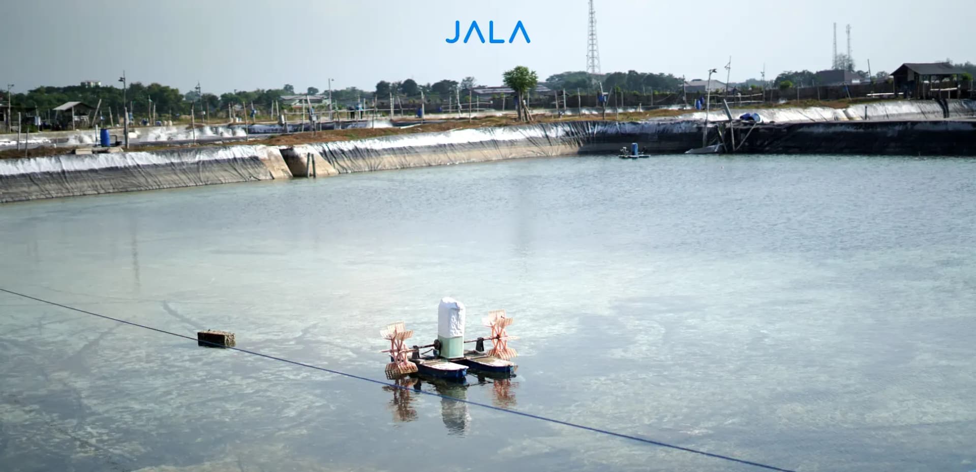 Cover - Tantangan Budi Daya.webp