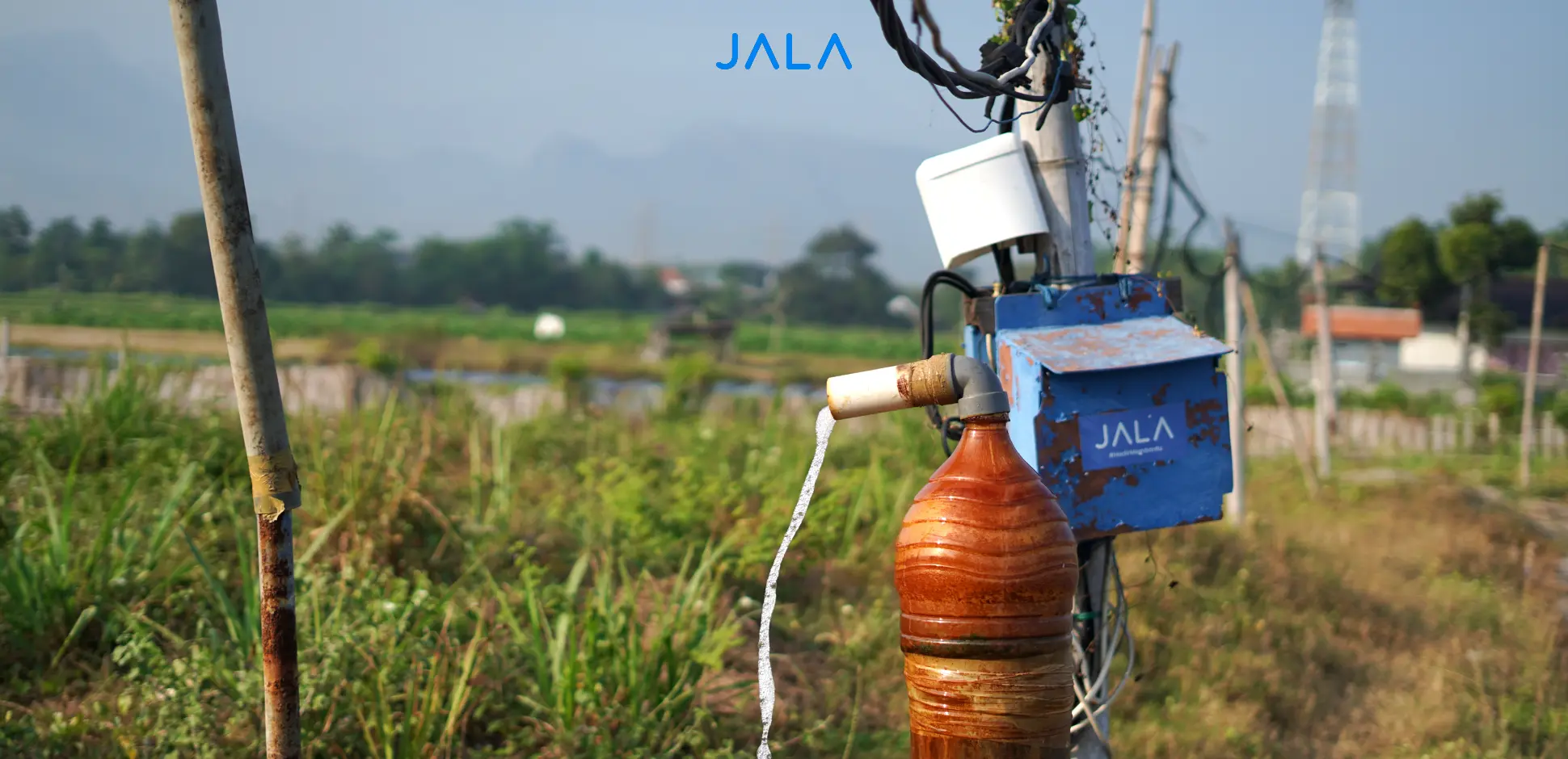 Cover - Tips Budi Daya.webp