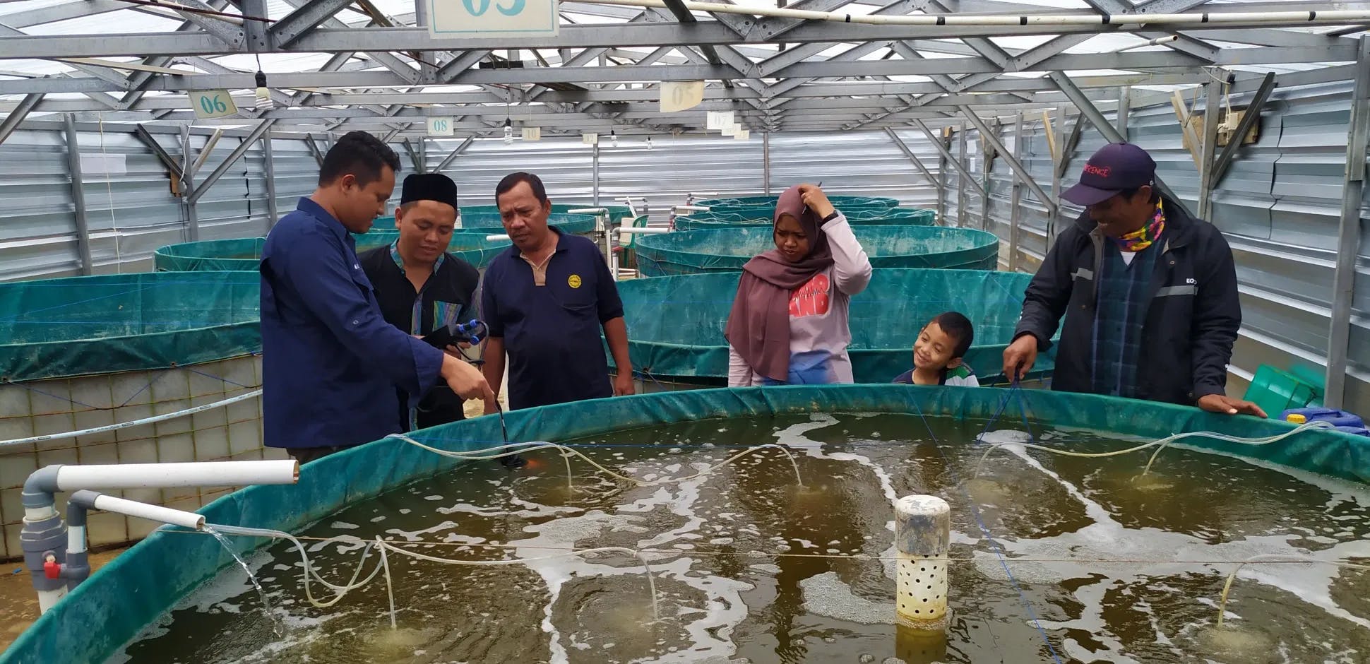 Four Important Physical Parameters of Water Quality in Shrimp Farms