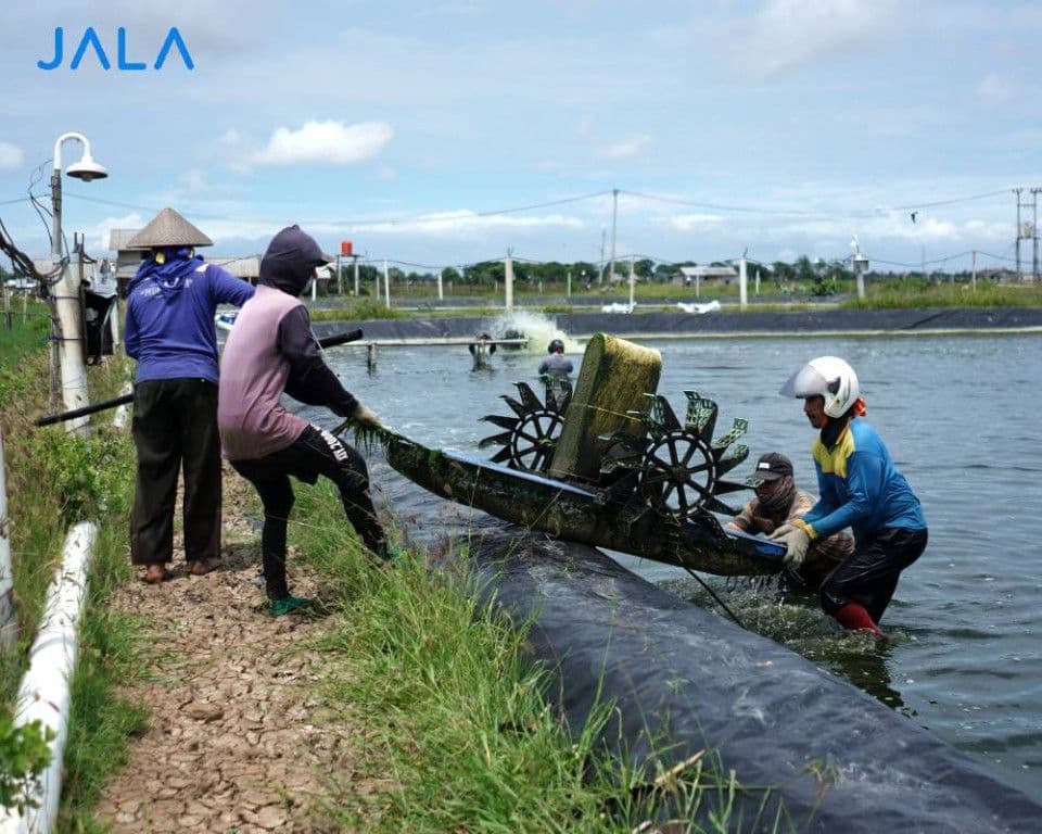 maintaining-the-hygiene-of-farm-equipment-materials-and-personnel.jpg