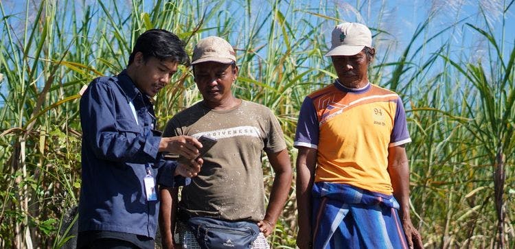 JALA’s Jagoan Tambak Program Encourages Shrimp Farmers to Use Technology for Cultivation 