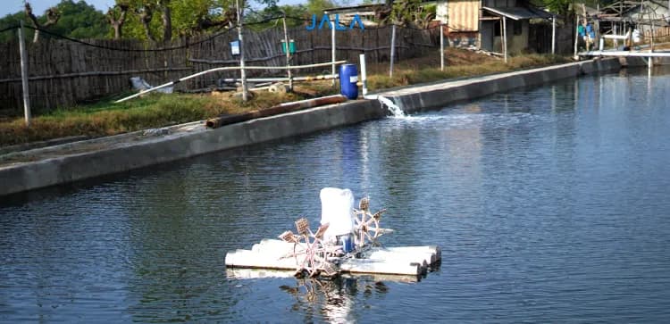 Pentingnya Tandon Bagi Budi Daya Udang