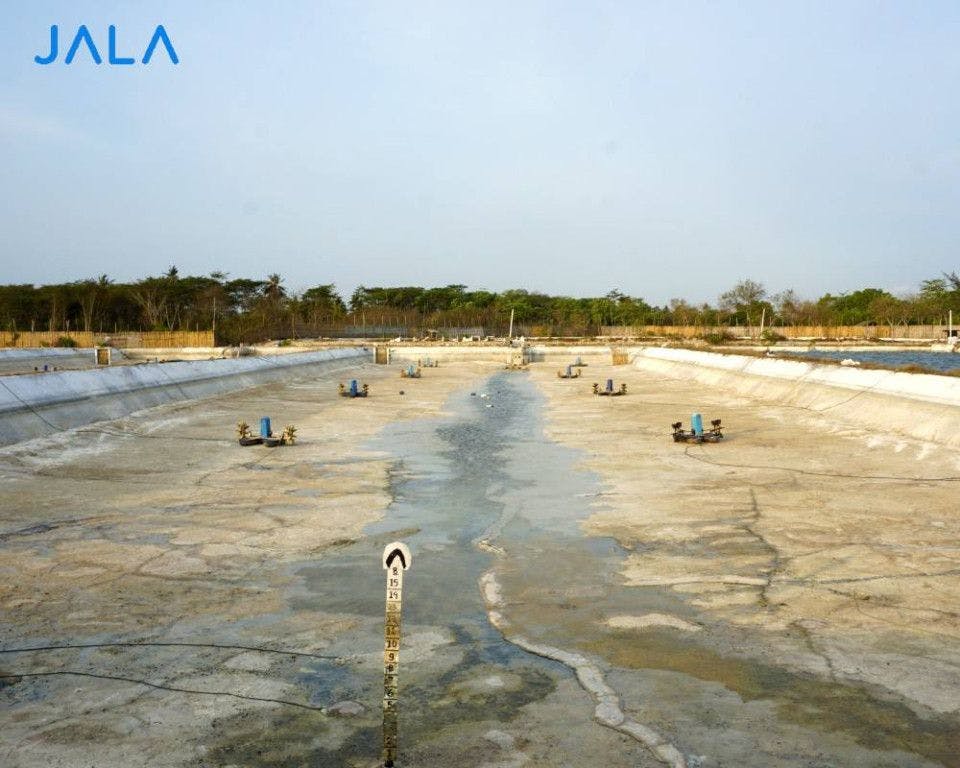 performing-the-preparation-of-concrete-ponds-for-shrimp-farming.jpg