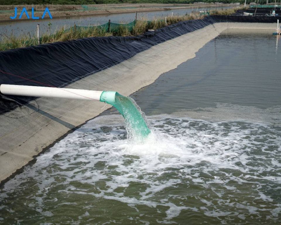 Water Source Quality Standard for Shrimp Cultivation